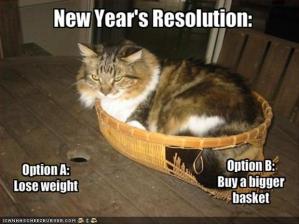 funny-new-years-resolutions-fat-cat